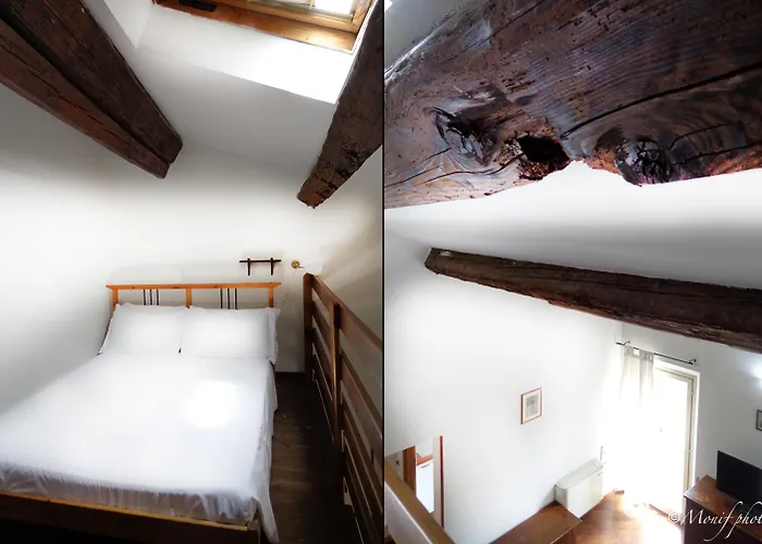 Della Biscia Ferrara