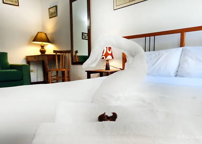 Hotel apartamentowy Della Biscia